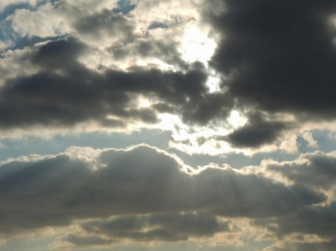 ホームページ改修用